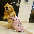 Summer T-shirt For Pets