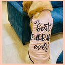 Summer T-shirt For Pets