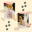 Summer T-shirt For Pets