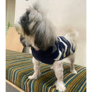 Winter Sweater For Dogs and Cats ( Dark Blue )
