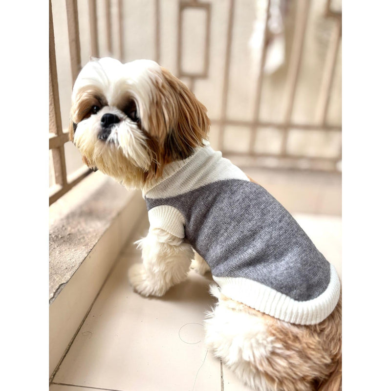 Winter Sweater For Dogs and Cats