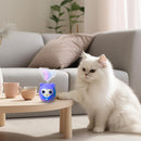 Interactive Cat Teasing Toy for Indoor Cats and Kittens
