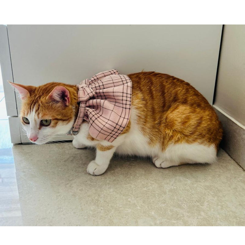 STYLISH Cat Bow Tie Collar