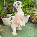 Winter Sweater For Dogs and Cats