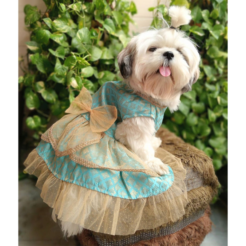 Traditional Dog Dress for Small, Medium & Large Dogs