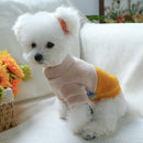 Premium Winter Clothes For Dog & Cat