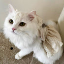 Cat Harness Dress with Bow