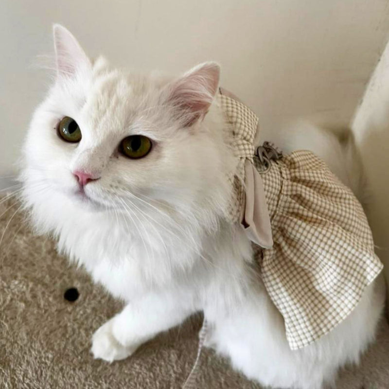 Cat Harness Dress with Bow
