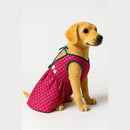 Ethnic Frock with Tie-Up Outfit for Dog & Cat