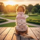 Dog Winter Jacket – Warm & Lightweight Sky Blue