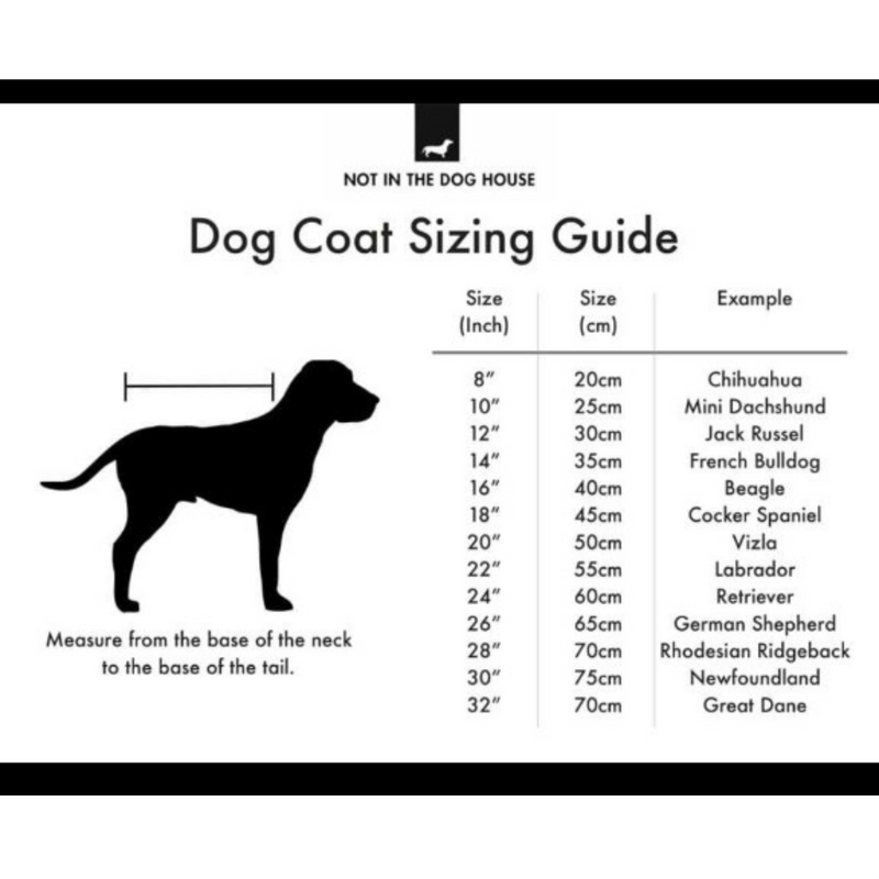 Premium Winter Dress For Dog & Cat