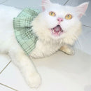 STYLISH Cat Bow Tie Collar