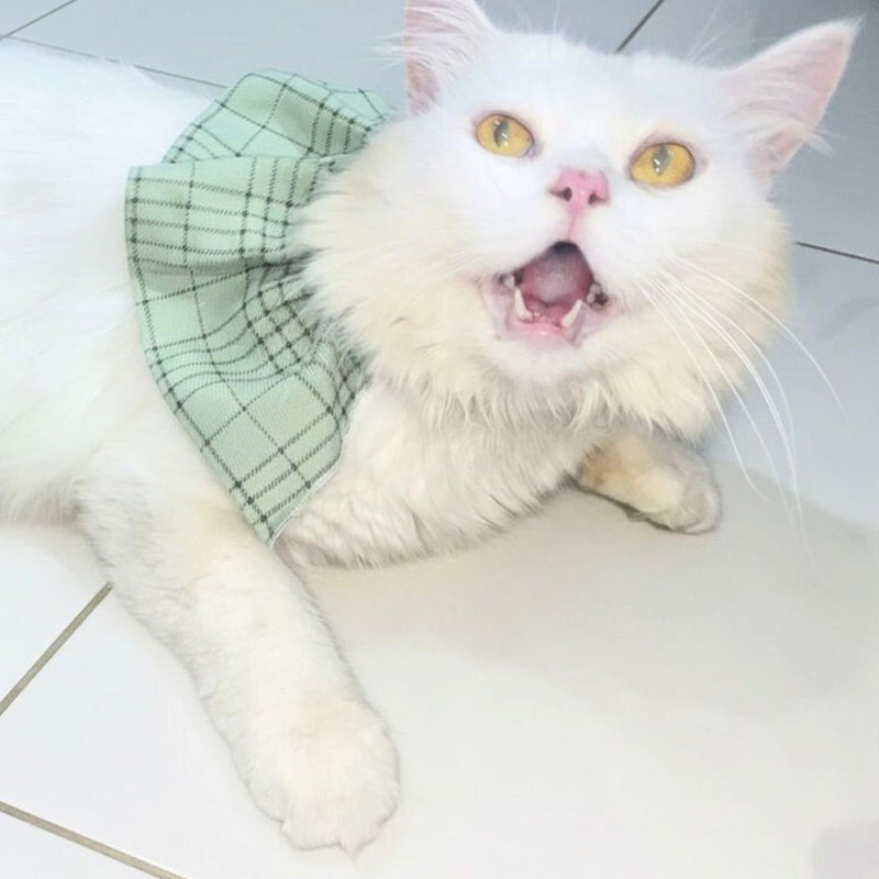 STYLISH Cat Bow Tie Collar