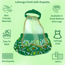 Lehenga Choli with Dupatta Indian Outfit for Female Pets