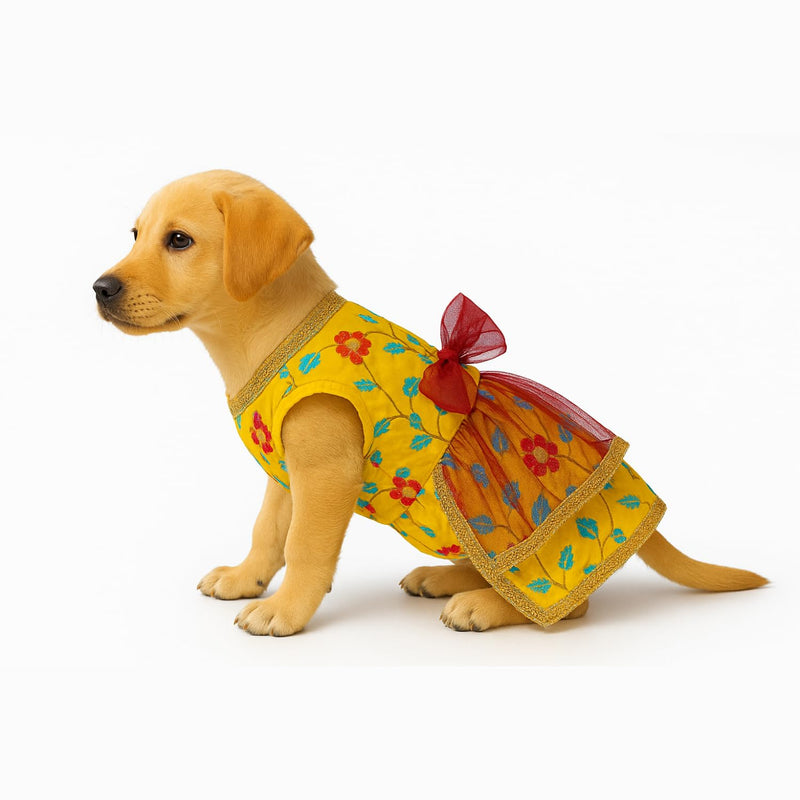 Traditional Floral Dress For Dog & Cat