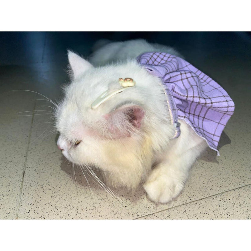 STYLISH Cat Bow Tie Collar