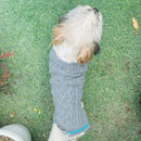 Winter Sweater For Dogs and Cats