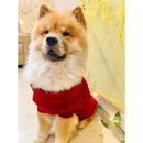 Winter Sweater For Dogs and Cats ( Maroon )