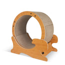 Cat Exercise Wheel for Indoor Cats