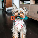 Hide 'n Seek Tug-O-Rope Squeaky Dog Chew Toy