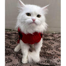 Winter Sweater For Dogs and Cats