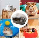 Hamster Cage with Transparent Top for Hamsters, Mice, Gerbils, and Rats (Color May Vary)