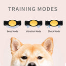 Waterproof Rechargeable Electric Training Collar with Remote for Small Medium Large Dogs