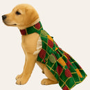 Ethnic Golden Dress with Ruffled Sleeves For Female Dogs