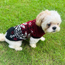 Winter Sweater For Dogs and Cats ( Maroon )