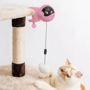 Interactive Toy For Cats & Kittens