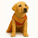 Traditional Sari-Style Ethnic Outfit for Dog & Cat
