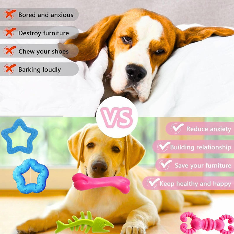 Chew Toys For Small Dogs (Pack of 5) (Multi Colour)
