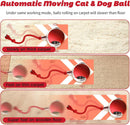 Interactive Cat Toy Ball for Indoor Cats