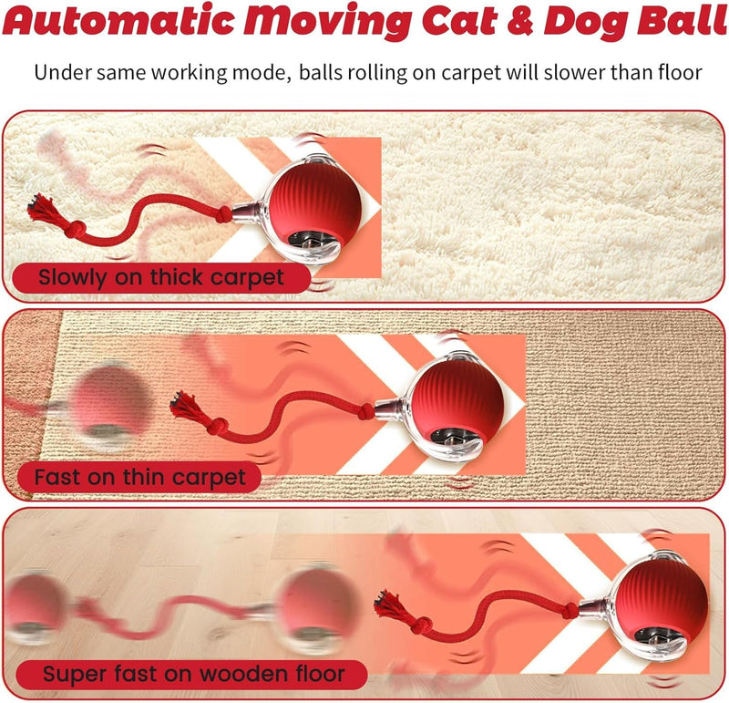 Interactive Cat Toy Ball for Indoor Cats