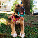 Interactive Treat Dispensing Squeaky Dog Toy for Tough Chewers
