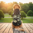 Winter Dog Jacket with Harness for Dogs