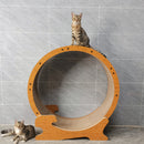 Cat Exercise Wheel for Indoor Cats