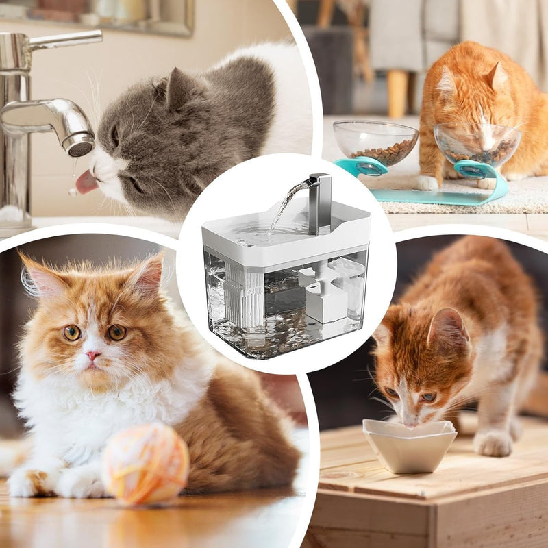 Cat Water Fountain (Color May Vary)