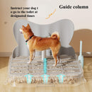Potty Training Tray Dogs