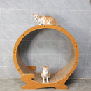 Cat Exercise Wheel for Indoor Cats