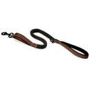 Reflective  Bungee Leash For Dogs