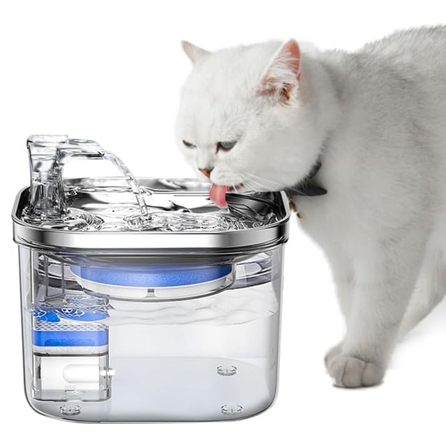 Water Fountain For Pets