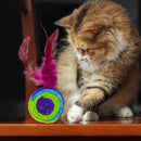 Interactive Rainbow Feather Ball Cat Toy with Bells