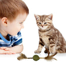 Feather Ball Cat Toy With Chew Sticks for Healthy Play