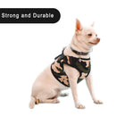 Mesh Harness And Leash Set For Small Medium Large Dogs