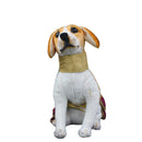 Lehenga Choli with Dupatta Indian Outfit for Female Pets ( Maroon )