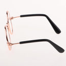 Goggles For Small Dog And Cat