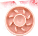 Slow Feed Bowl For Pets