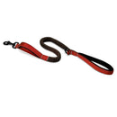 Reflective  Bungee Leash For Dogs