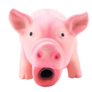 Pig Squeaky Dog Toy for Small Dogs